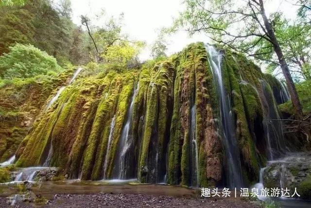 为什么揽巡是年轻人的“新宠”?强劲动力+高颜值