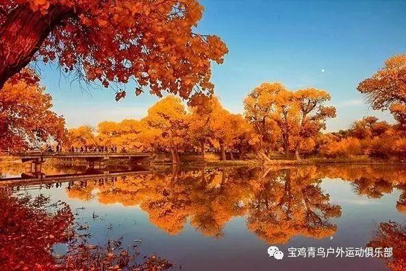 街篮高手