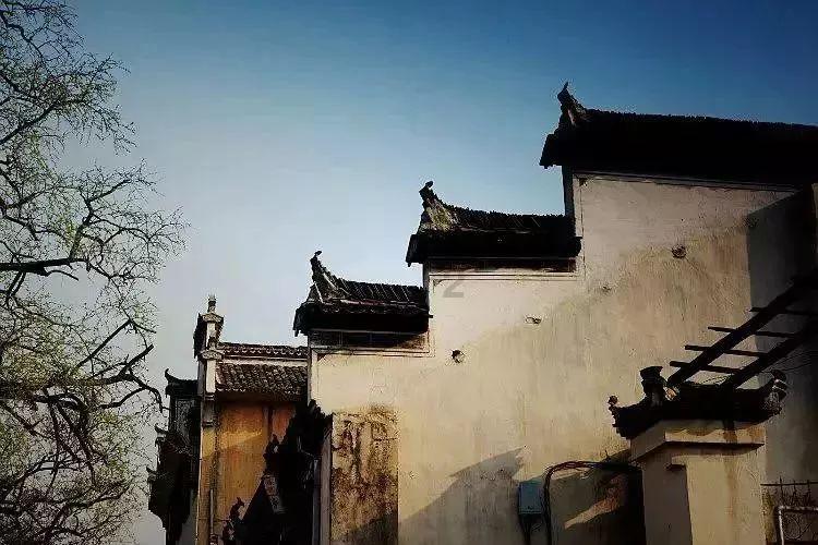拯救迷路小公主